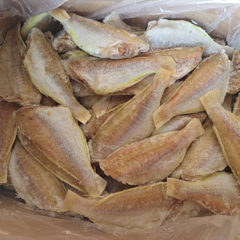 金线鱼，去头去尾去内脏，免处理