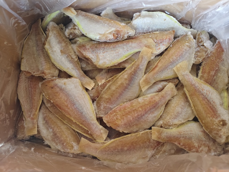 金线鱼，去头去尾去内脏，免处理