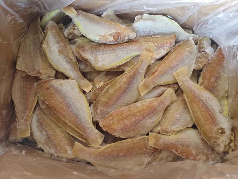 金线鱼，去头去尾去内脏，免处理