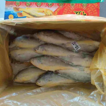 板栋黄花，一件净重5斤，一手货源，常年有货