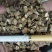 牛蒡药用牛蒡子干净无杂质品质保证一手货源