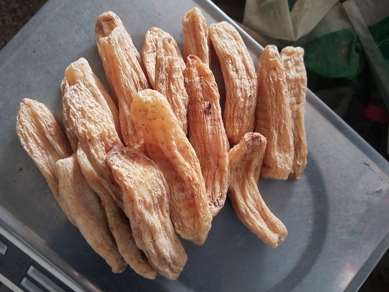 牛蒡药用牛蒡子干净无杂质品质保证一手货源