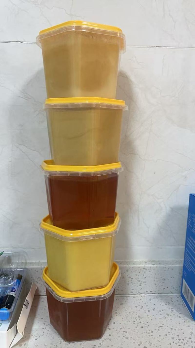 野蜂蜜🍯