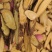 野生甘草片颜色好味道足甘草大片甘草斜片圆片有货代发批发