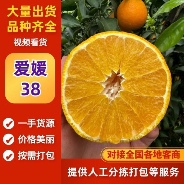 爱媛38号果冻橙四川产地直供大量有货，纯甜爆汁