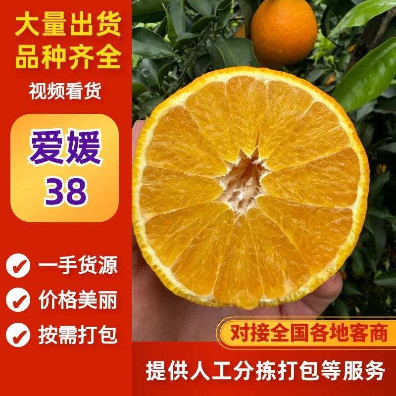 爱媛38号果冻橙四川产地直供大量有货，纯甜爆汁