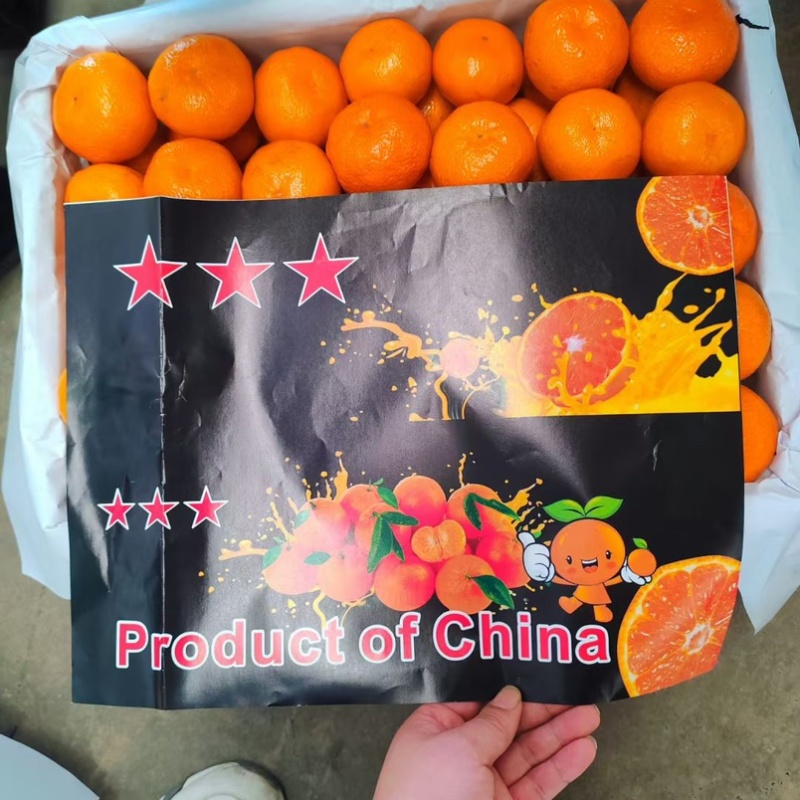 湖北蜜橘对接出口边贸中亚五国品质保证质量第一