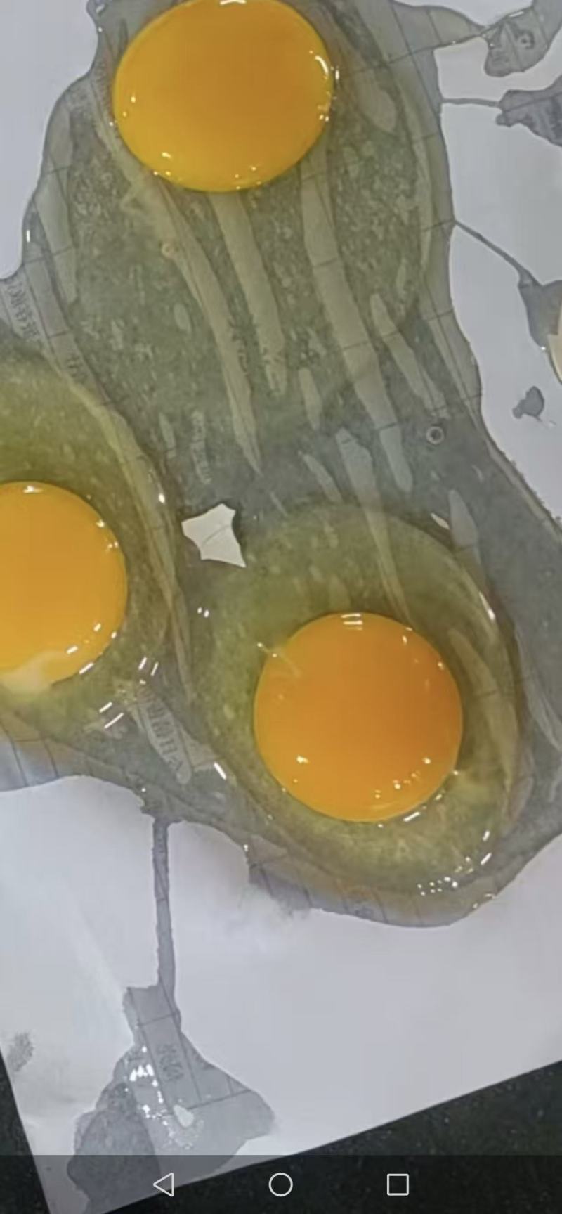 土鸡蛋
