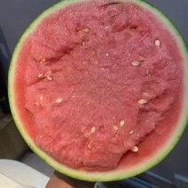美都麒麟西瓜
