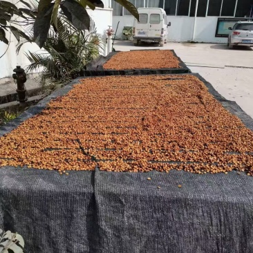 普洱干果咖啡豆，有需要联系我