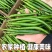 山东潍坊青州线椒/二荆条辣椒/大量有货