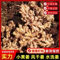 鲜姜，嫩姜，小黄姜，风干姜，产地发货可发往全国市场