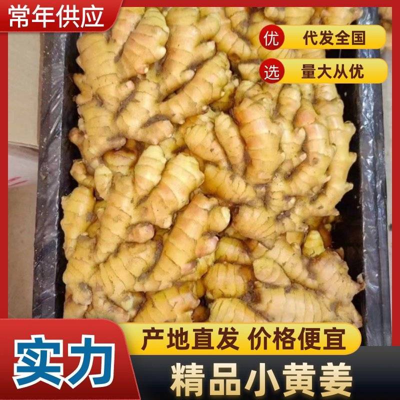 小黄姜【优质生姜】水洗姜规格齐全，没有你找不到的货