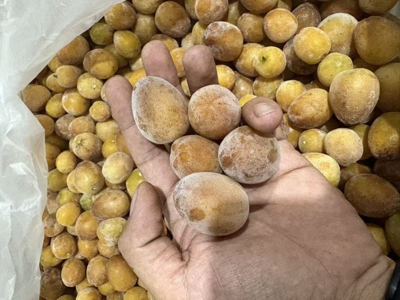 核果仁果类黄皮果大量供应冰冻果精品鸡心黄皮奶茶果