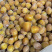 核果仁果类黄皮果大量供应冰冻果精品鸡心黄皮奶茶果