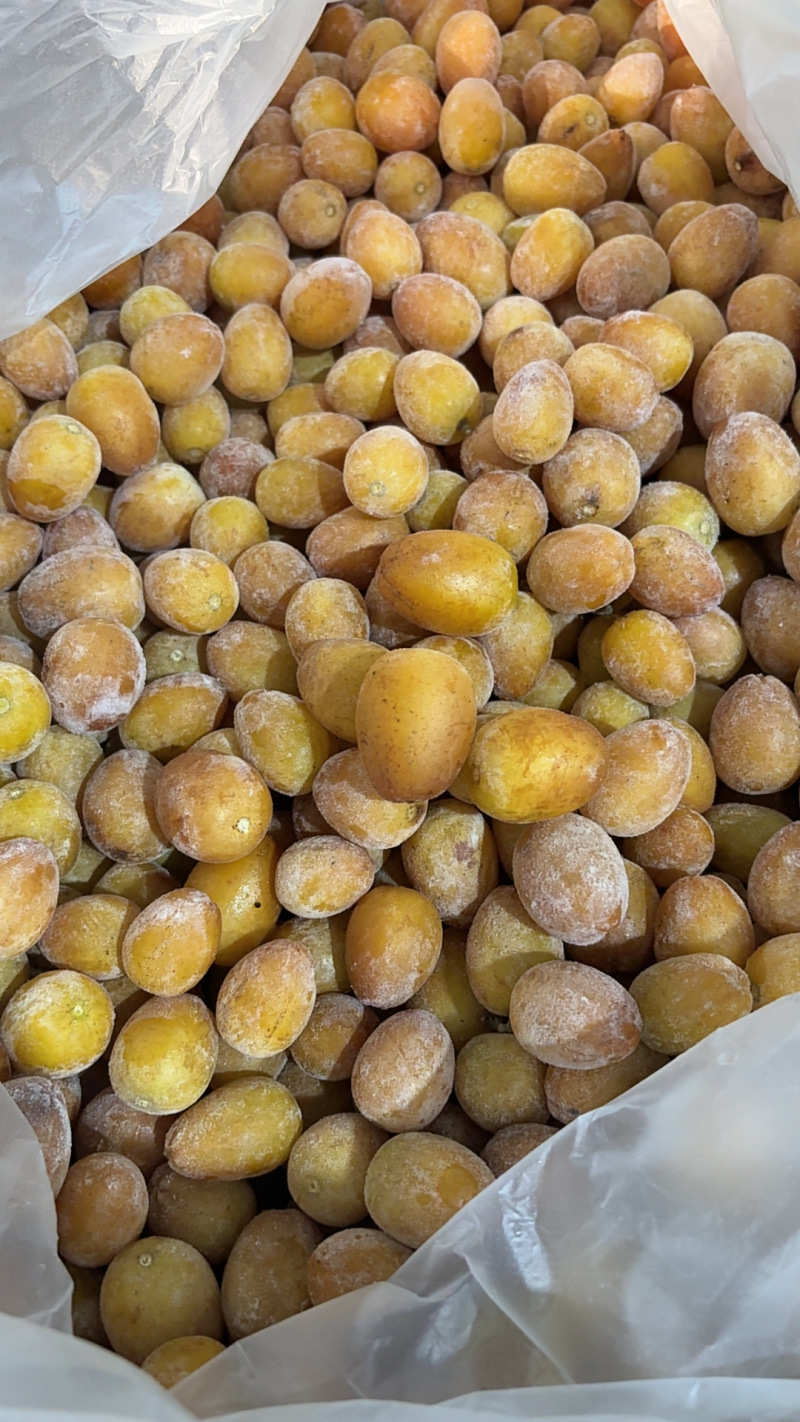 核果仁果类黄皮果大量供应冰冻果精品鸡心黄皮奶茶果