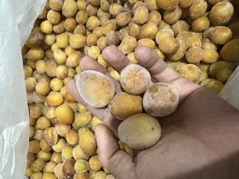 核果仁果类黄皮果大量供应冰冻果精品鸡心黄皮奶茶果（粒果）