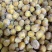 核果仁果类黄皮果大量供应冰冻果精品鸡心黄皮奶茶果（粒果）