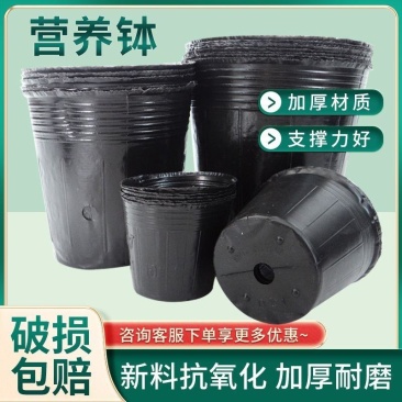 营养杯育苗杯营养钵育苗盆(包运费)清仓塑料营养袋育苗