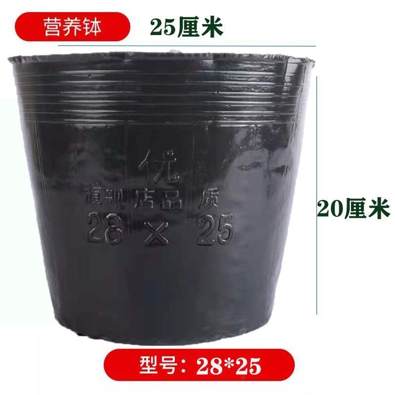营养杯育苗杯营养钵育苗盆(包运费)清仓塑料营养袋育苗