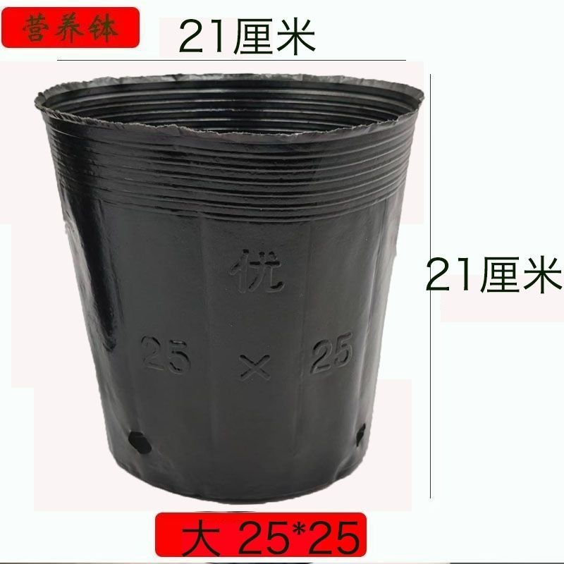 营养杯育苗杯营养钵育苗盆(包运费)清仓塑料营养袋育苗