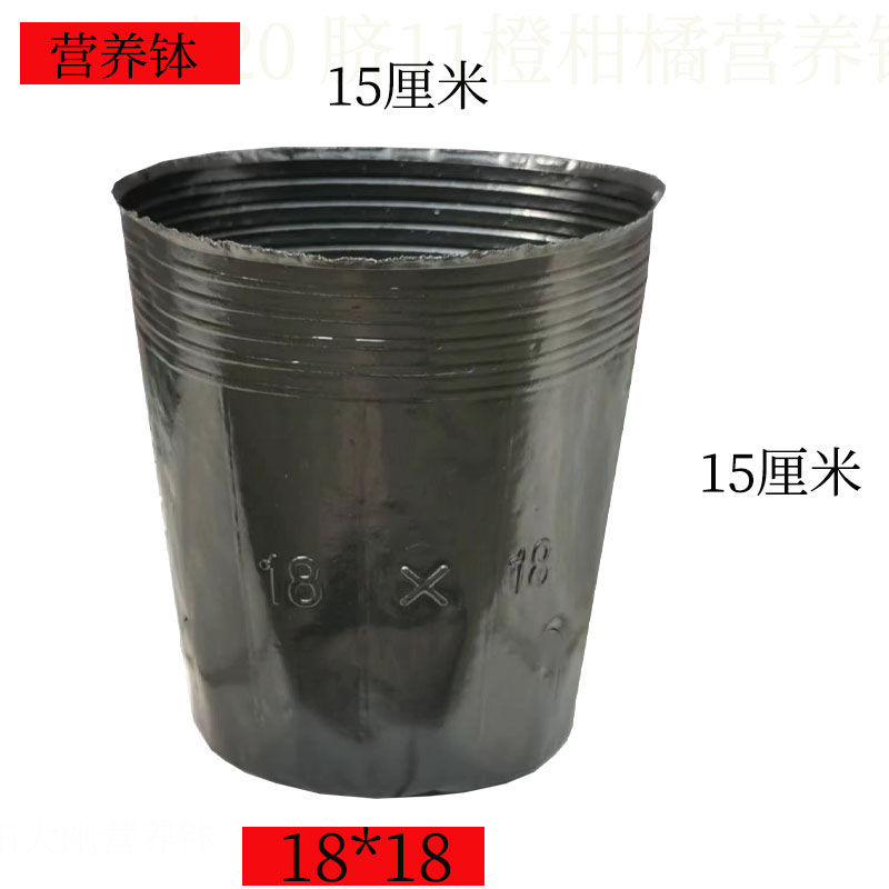 营养杯育苗杯营养钵育苗盆(包运费)清仓塑料营养袋育苗
