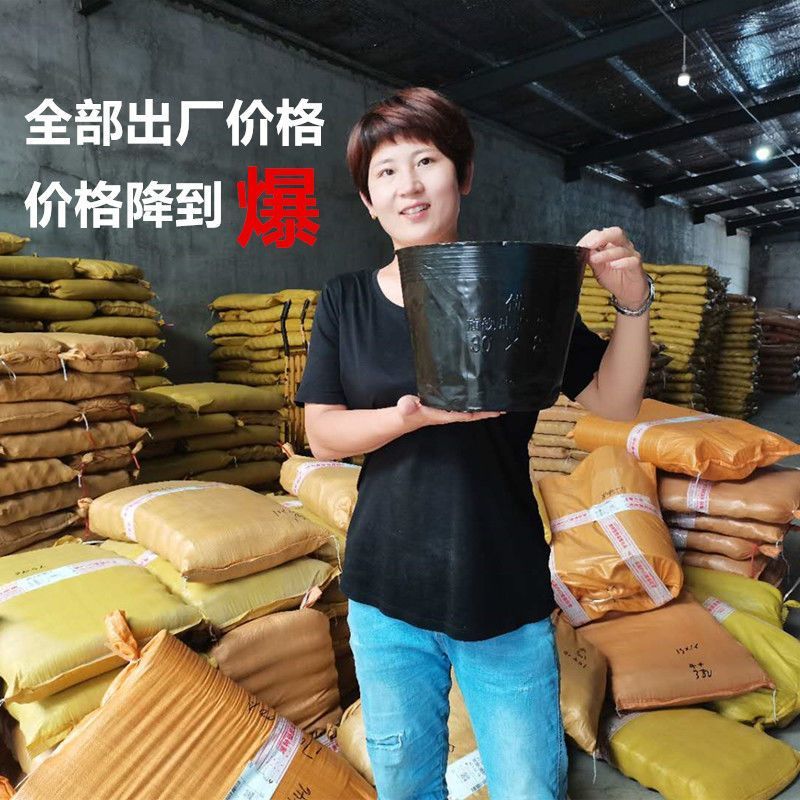 营养杯育苗杯营养钵育苗盆(包运费)清仓塑料营养袋育苗