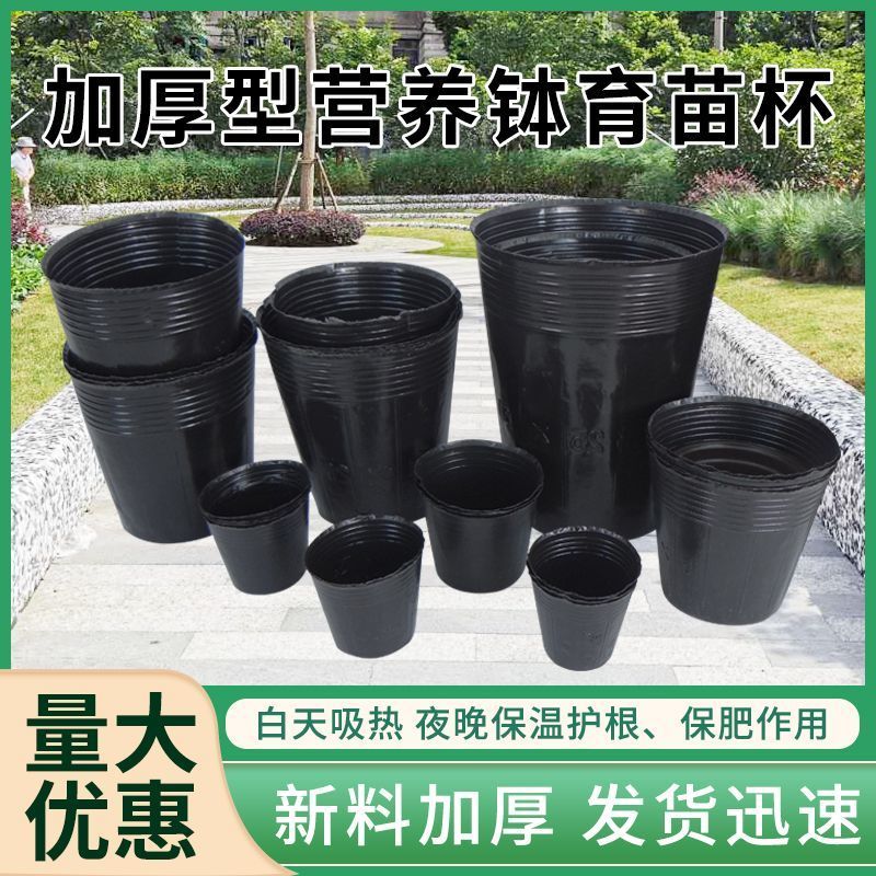 营养杯育苗杯营养钵育苗盆(包运费)清仓塑料营养袋育苗