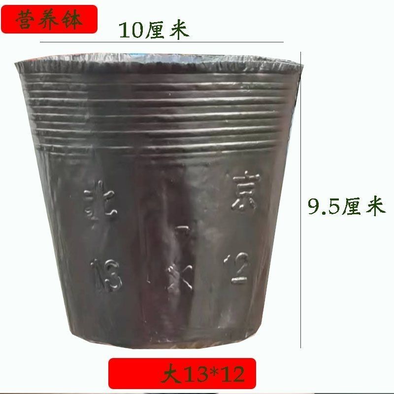 营养杯育苗杯营养钵育苗盆(包运费)清仓塑料营养袋育苗