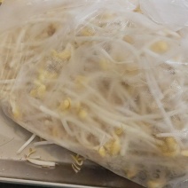 黄豆芽