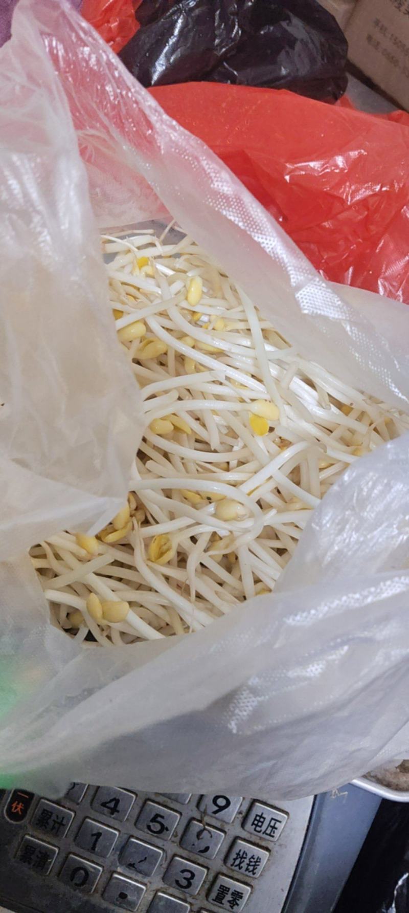 黄豆芽