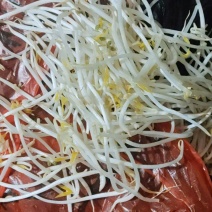 绿豆芽