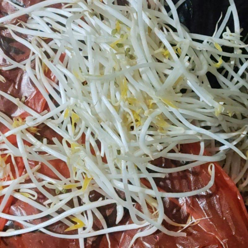 绿豆芽