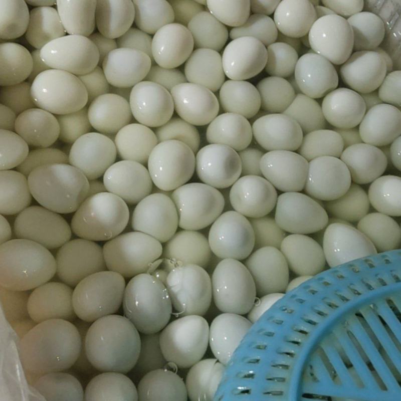 熟鹌鹑蛋
