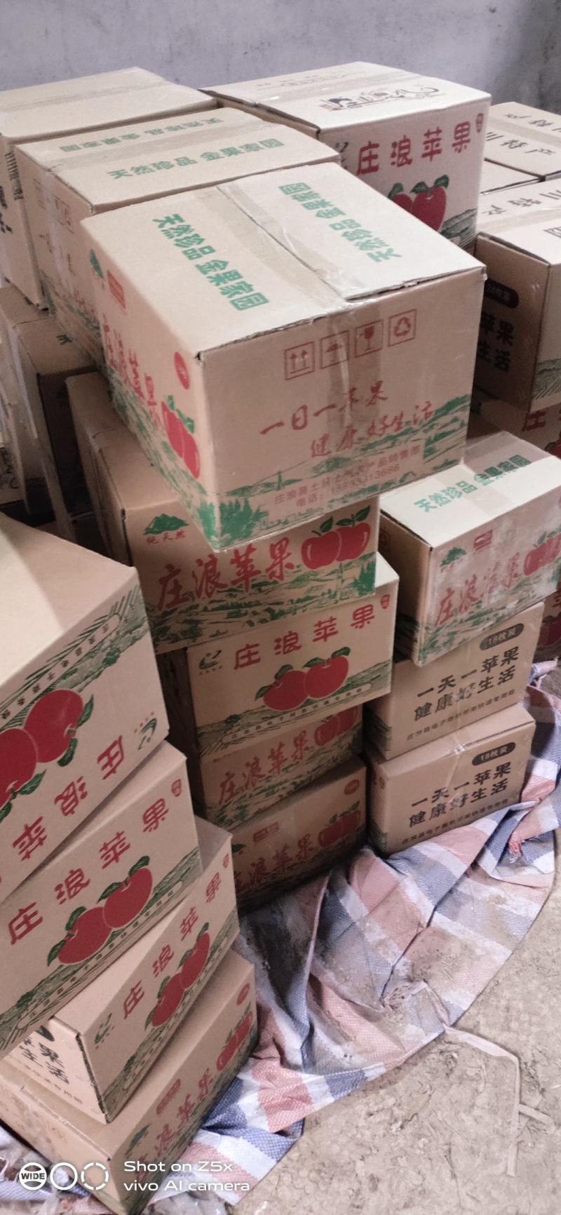 甘肃静宁苹果