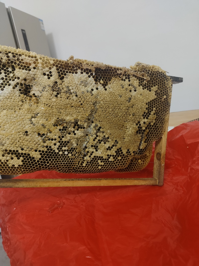 水磨镇正宗土蜂蜜