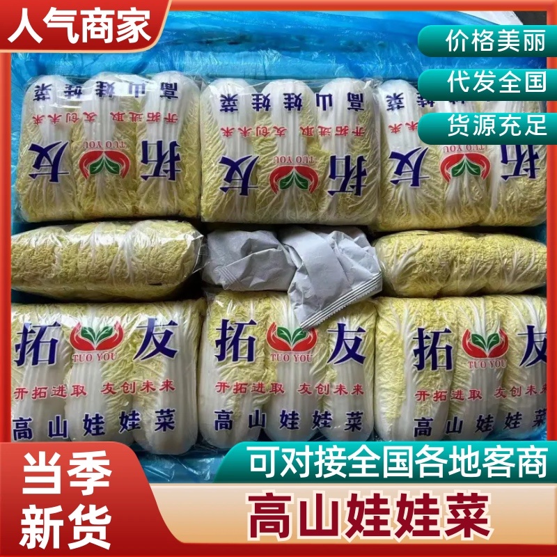 郑州中牟娃娃菜新鲜上市欢迎进店咨询电话联系更加优惠