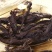 紫草正宗紫草中药材紫草紫草根新货无硫品质保证