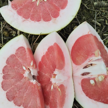 新鲜蜜柚