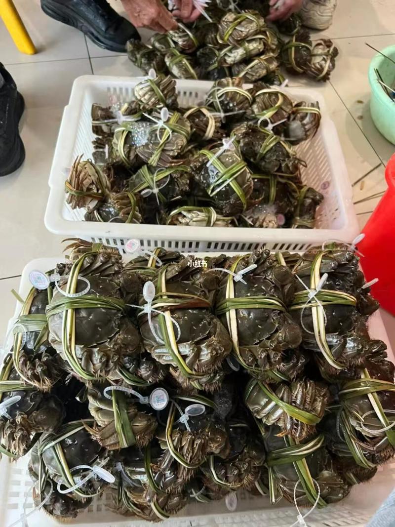 江苏水产大闸蟹。一件代发。量大管足。可以实地考察。欢迎咨询。