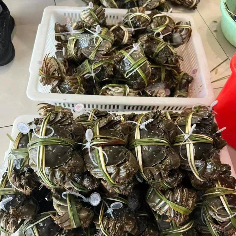 江苏水产大闸蟹。一件代发。量大管足。可以实地考察。欢迎咨询。