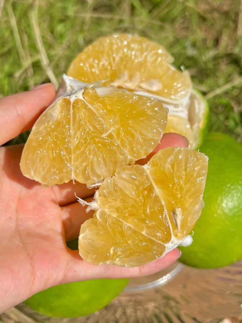 葡萄柚青皮葡萄水晶柚皮薄多汁可一件代发整车走货