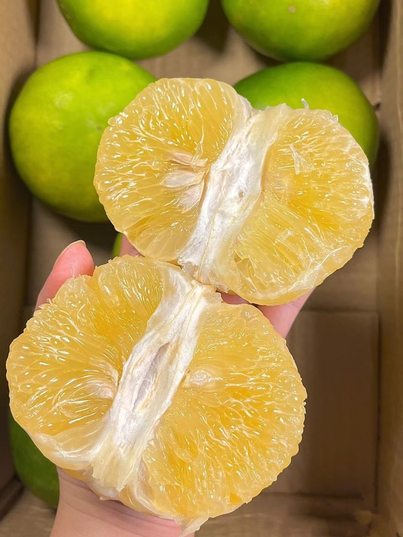 葡萄柚青皮葡萄水晶柚皮薄多汁可一件代发整车走货