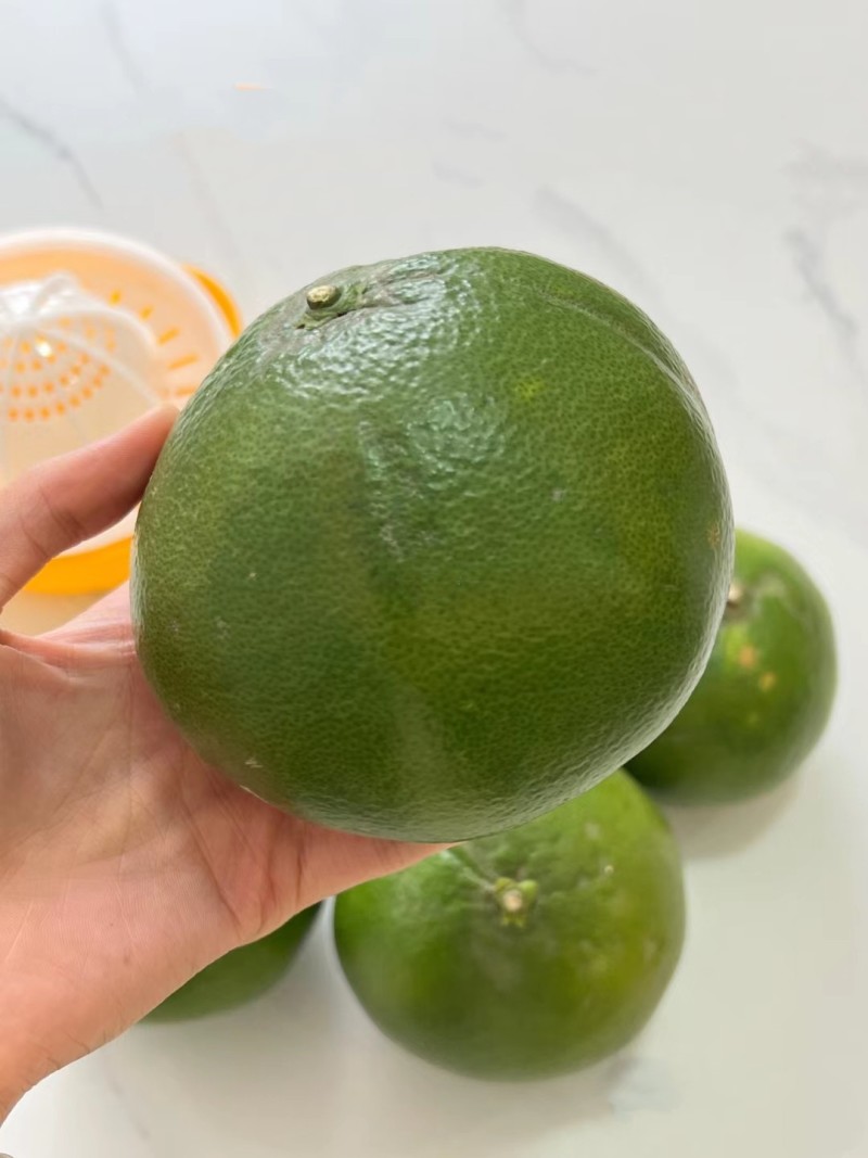 葡萄柚青皮葡萄水晶柚皮薄多汁可一件代发整车走货