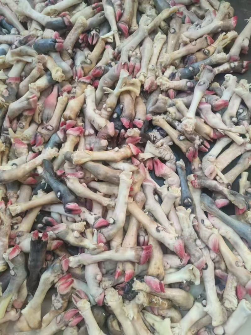 山东金乡羊耳朵精品羊耳朵质量好，干净，羊杂汤冲汤，爆炒