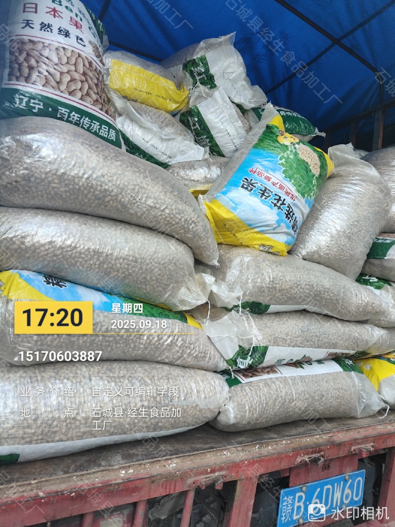 石城湿炒花生/厂家直销