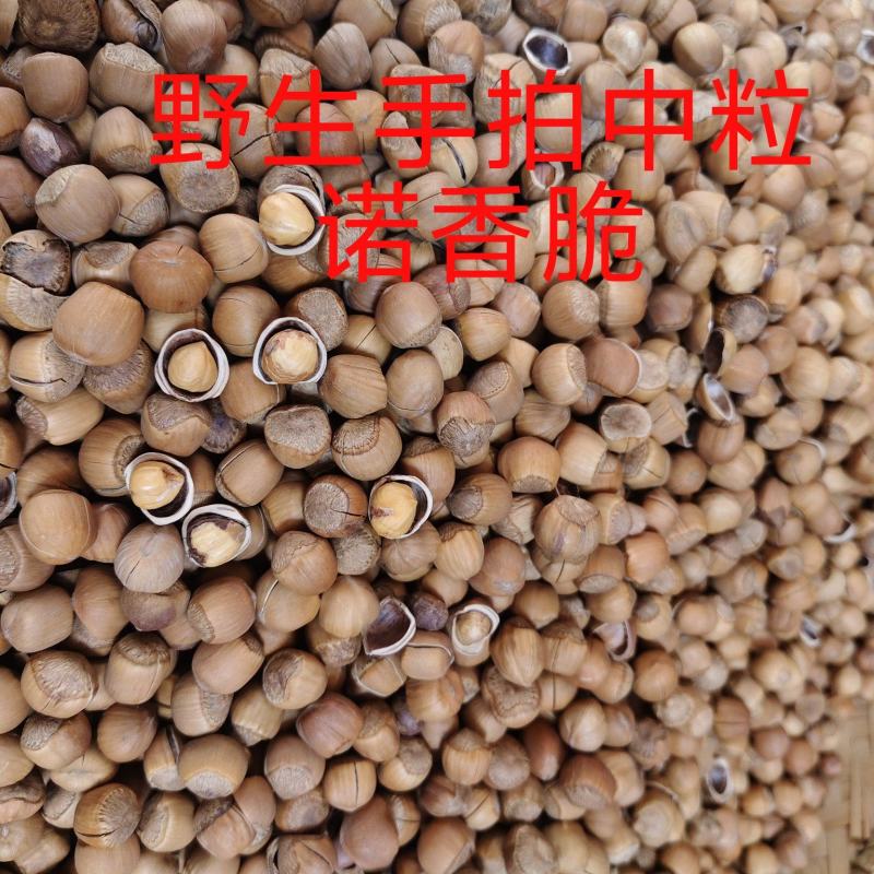 铁岭开原手拍水漏榛子
