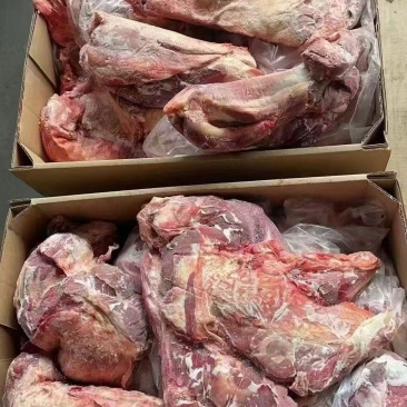 纯干牛腱子