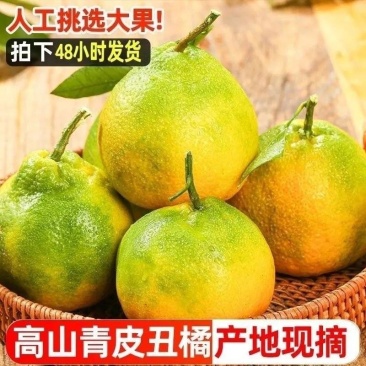 湖北丑橘大橘子专业一件代发整车批发产地直发