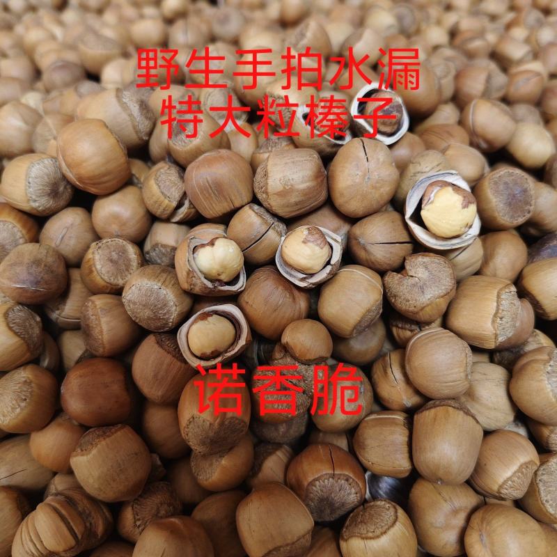 纯铁岭开原当地知名榛子